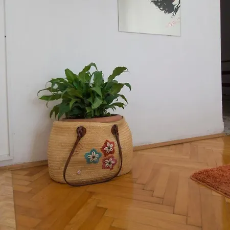 Apartman Bacic Apartment *